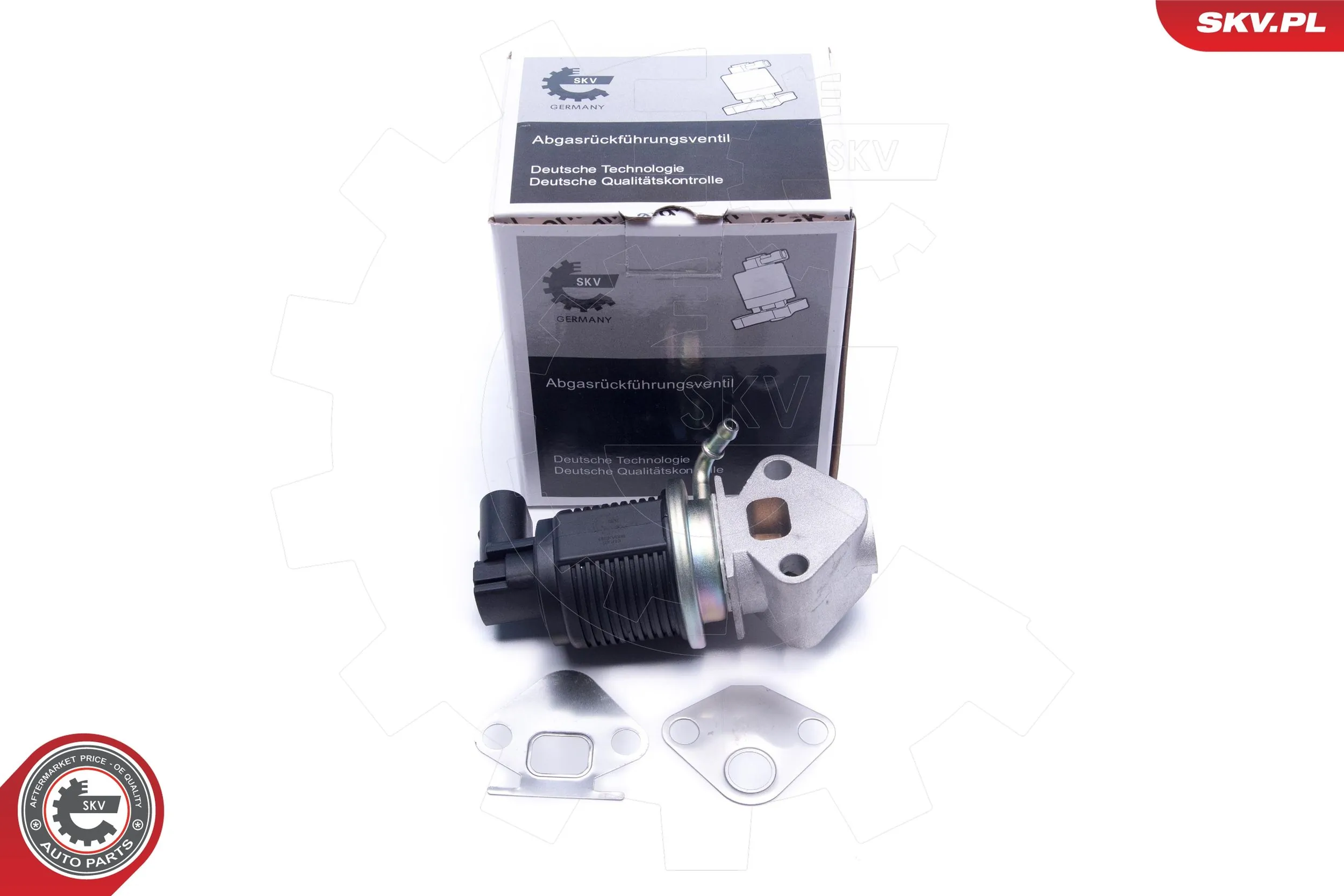 EGR Valve